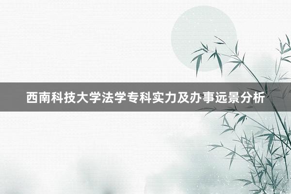 西南科技大学法学专科实力及办事远景分析